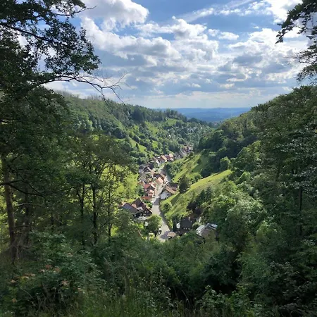 Am Waldrand * Lerbach