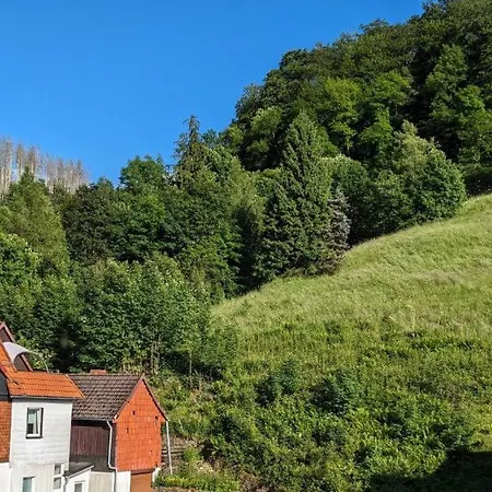 Am Waldrand * Osterode am Harz