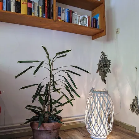 Am Waldrand Appartamento Osterode am Harz