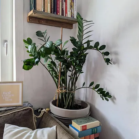 Appartamento Am Waldrand Osterode am Harz