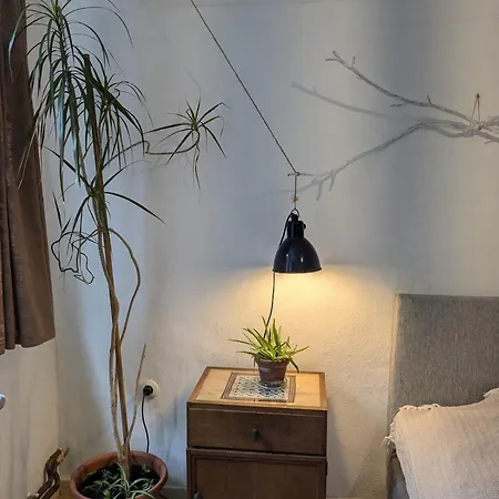 Am Waldrand Osterode am Harz