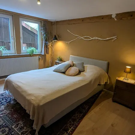 Am Waldrand Apartment Lerbach