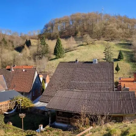 Am Waldrand * Lerbach